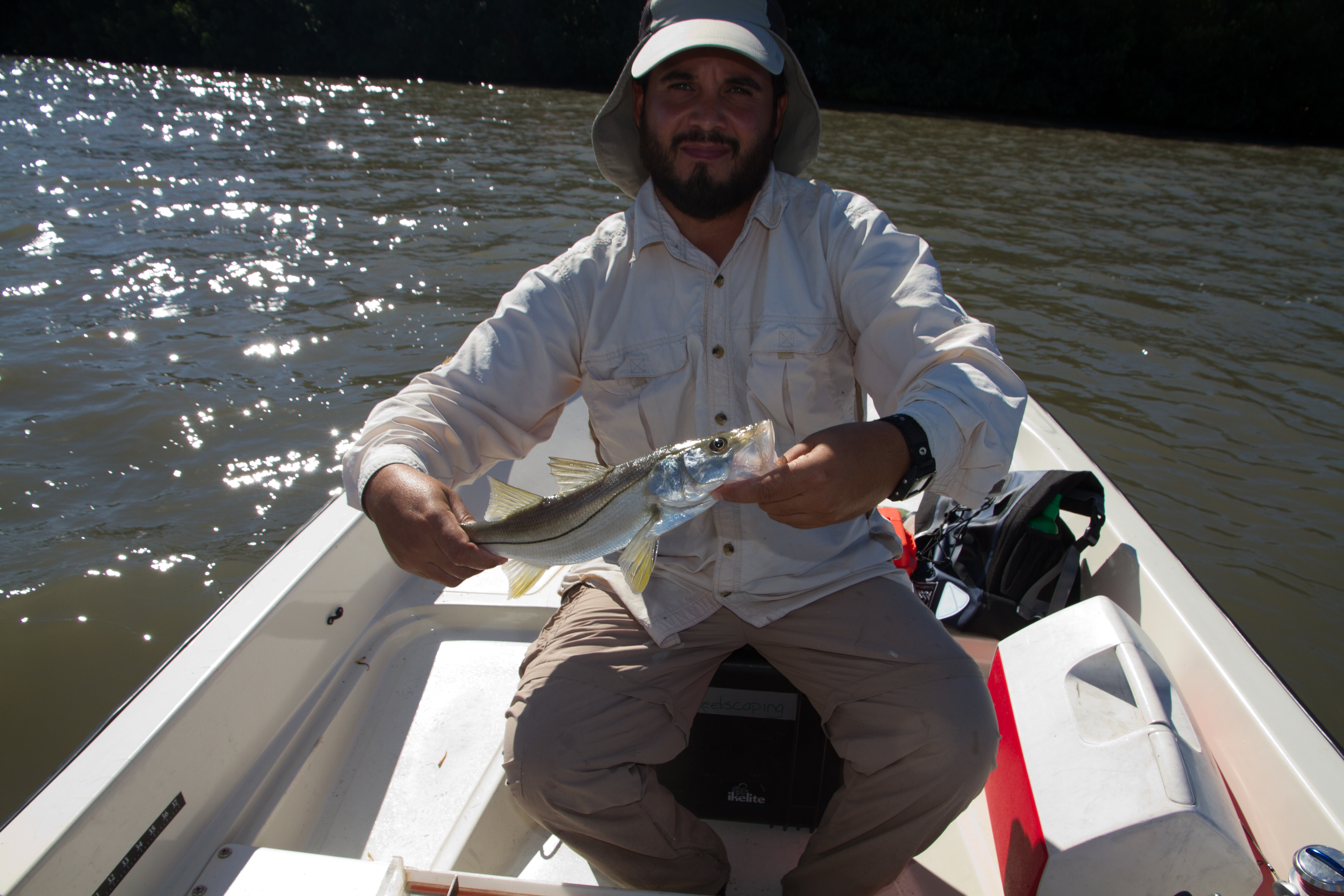 Tarpon Population Assessment